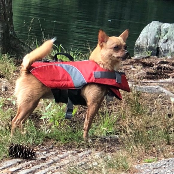 Meet your Posher, Jeromy - Picture 1 of 1